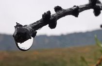 Βροχή και θυελλώδεις νοτιάδες από τον «Ετεοκλή»