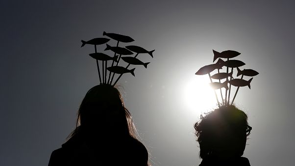 Protesters attend a demonstration held by "the sardines", a grassroots movement against far-right League leader Matteo Salvini, in Rome, Italy, December 14, 2019. Protesters attend a demonstration held by "the sardines", a grassroots movement against far-right League leader Matteo Salvini, in Rome, Italy, December 14, 2019.