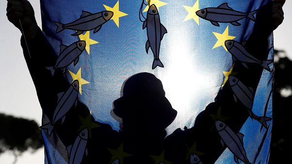 Sardinen gegen Salvini: 10 Fotos und Tweets Sardinen gegen Salvini: 10 Fotos und Tweets