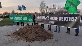Frustration and horse manure on the last day of COP25