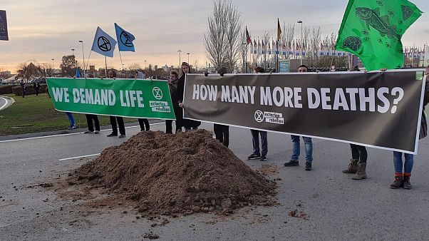 Frustration and horse manure on the last day of COP25 Frustration and horse manure on the last day of COP25