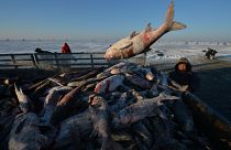 La saison de la pêche sous glace a débuté en Chine 