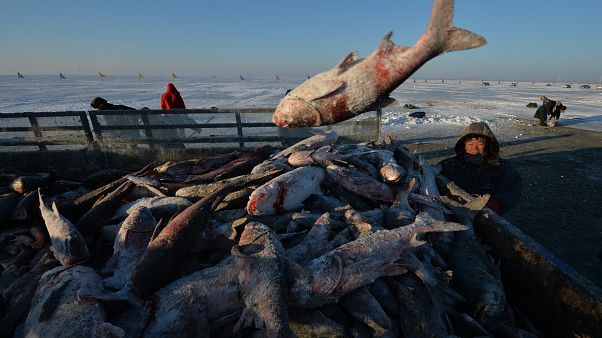 In Cina si apre la stagione della pesca In Cina si apre la stagione della pesca