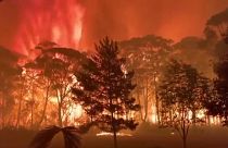 Australia firefighters battle expanding Gospers Mountain blaze