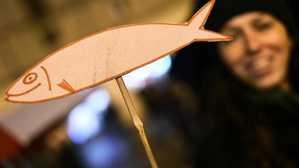 Sardinen-Bewegung: "Wir können die Lügen der Politiker beenden" Sardinen-Bewegung: "Wir können die Lügen der Politiker beenden"