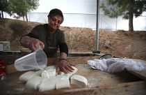 6 Millionen Kilo Käse: Zypern sitzt auf Halloumi-Berg