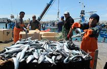 Aumento de 17% nas quotas de pesca para Portugal