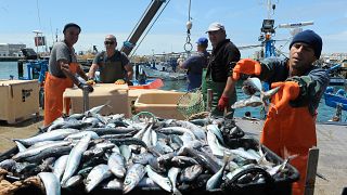 Aumento de 17% nas quotas de pesca para Portugal