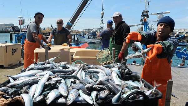Aumento de 17% nas quotas de pesca para Portugal Aumento de 17% nas quotas de pesca para Portugal