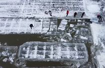 Chine : le ballet des laboureurs de glace