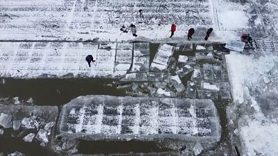Egy befagyott folyóról faragják a jégtömböket a jégszobor-fesztiválra