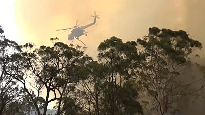 ویدئو؛ بالگرد آبپاش در مهار آتش‌سوزی‌های حومه سیدنی ناکام ماند