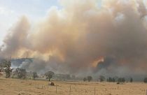 State of emergency declared as wildfires rage in Australia