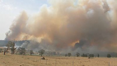 Declaran el estado de emergencia en Australia por los incendios forestales