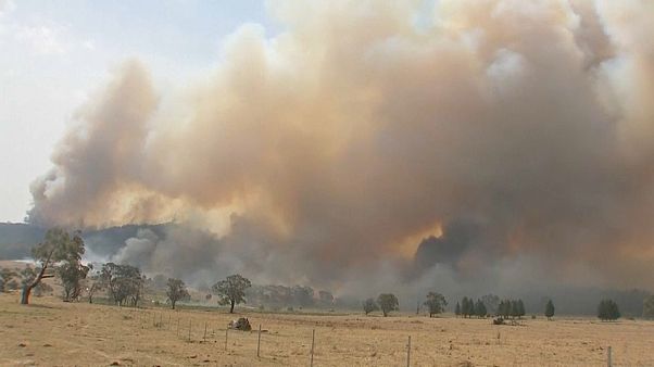 Elsötétíti az eget a Sydney mellett lángoló bozóttűz Elsötétíti az eget a Sydney mellett lángoló bozóttűz