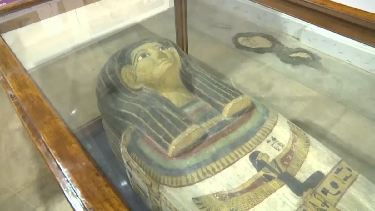 شاهد: افتتاح معرض الحفريات الفرنسية في مصر