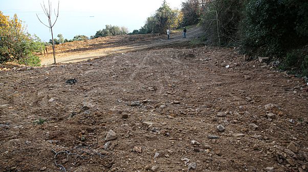 İtlaf edilen atlar kireç dökülerek gömüldü, Adalar İtlaf edilen atlar kireç dökülerek gömüldü, Adalar