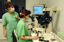 Fenyvesi Beáta embriológus mesterséges megtermékenyítést végez egy régebbi műszeren, mögötte Kanyó Katalin vezető biológus.
