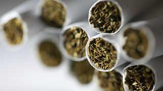 سازمان جهانی بهداشت از کاهش شمار مردان سیگاری در جهان خبر داد