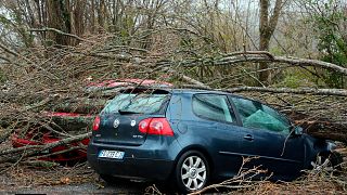 Image d'archive - Des arbres arrachés par le vent sont tombés sur des voitures à Ascain, France (13 décembre)