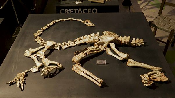 O Parque Triássico do Brasil O Parque Triássico do Brasil