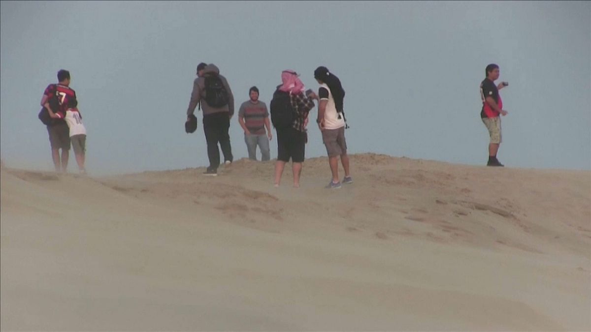 جماهير فلامنغو في صحراء قطر