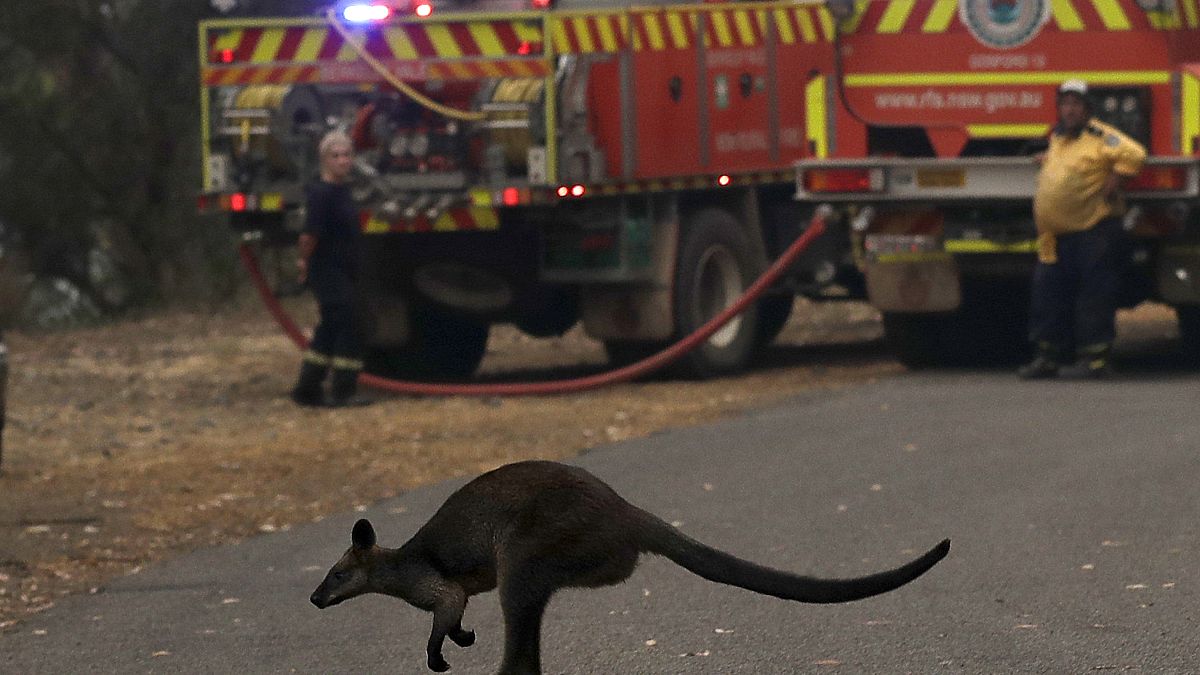 Австралия: "катастрофические" пожары