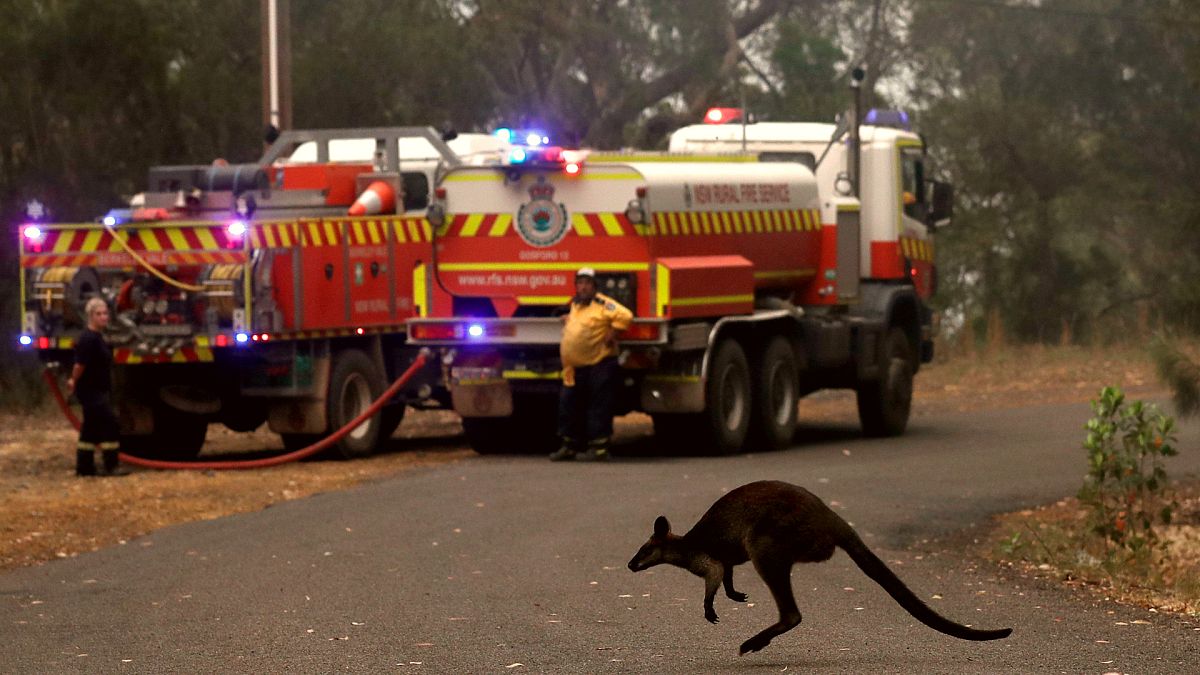 Video: Avustralya orman yangınlarıyla boğuşuyor: 10 kişi öldü, 3 milyon hektarlık alan kül oldu