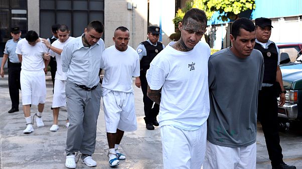 230 MS-13 örgüt üyesi tutuklandı 230 MS-13 örgüt üyesi tutuklandı