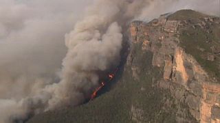 Buschbrände: Jetzt bedroht der Rauch auch Sydney