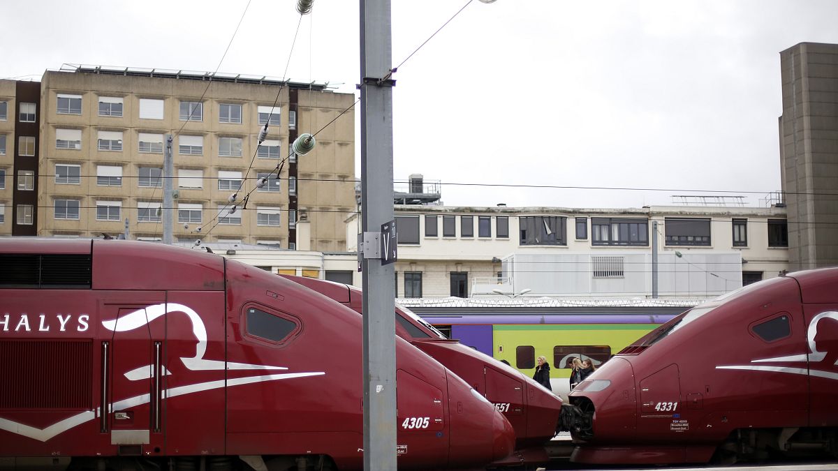 Значительная часть составов TGV, скоростных электричек, связывающих как города Франции, так и Европы, осталась в депо