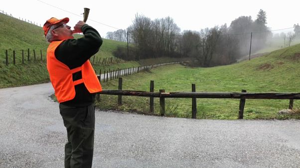 Tatort Wald: wie eine App vor Jägern schützen soll Tatort Wald: wie eine App vor Jägern schützen soll