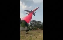 شاهد: طائرة أسترالية تكافح الحرائق على علو منخفض جداً 