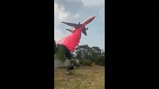 شاهد: طائرة أسترالية تكافح الحرائق على علو منخفض جداً