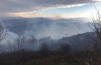 Trabzon'un 11 ilçesinde 37 noktada çıkan örtü yangınlarından 30'unun söndürüldüğü, üç ilçede 6 evin yangınlarda zarar gördüğünü bildirildi