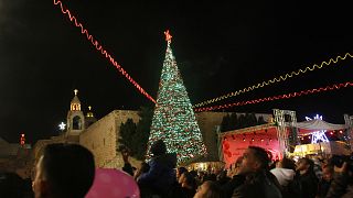 شجرة الميلاد في ساحة كنسية المهد- بيت لحم الضفة الغربية