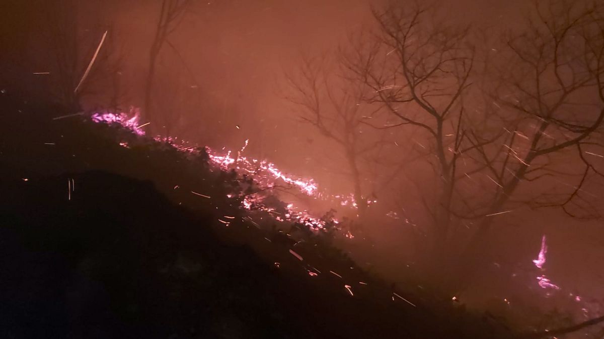 Trabzon'un Arsin ilçesinde ormanlık alanda çıkan yangın, kontrol altına alınmaya çalışılıyor