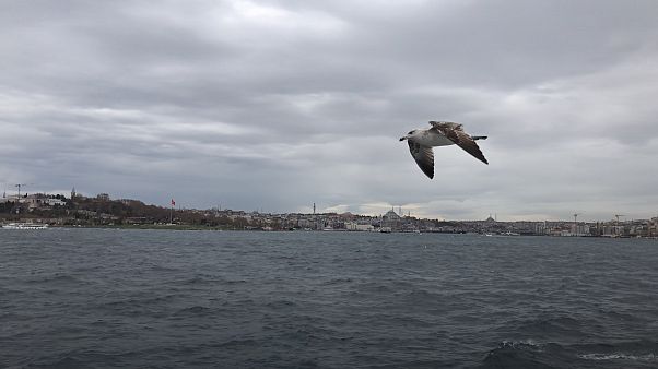 İstanbul Boğazı İstanbul Boğazı