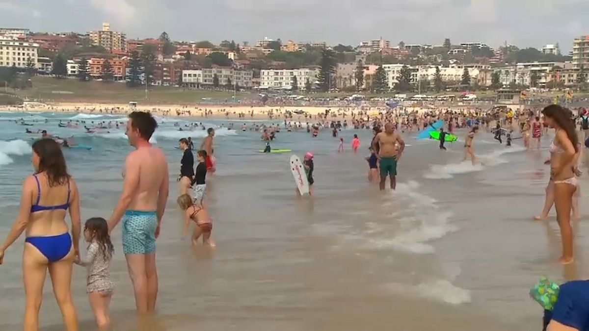 Sydney trotzt den Buschbränden: "Mit Zipfelmütze an den Bondi Beach"