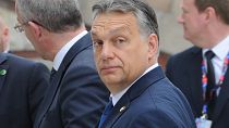 رئيس الوزراء المجري فيكتور أوربان - أرشيف