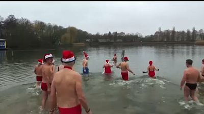 Berlin : traditionnel plongeon de Noël pour les membres du " Berliner Sea Dogs "