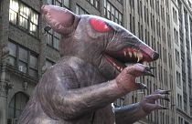 فأر اصطناعي في شوارع نيويورك-26 نوفمبر تشرين الثاني 2019