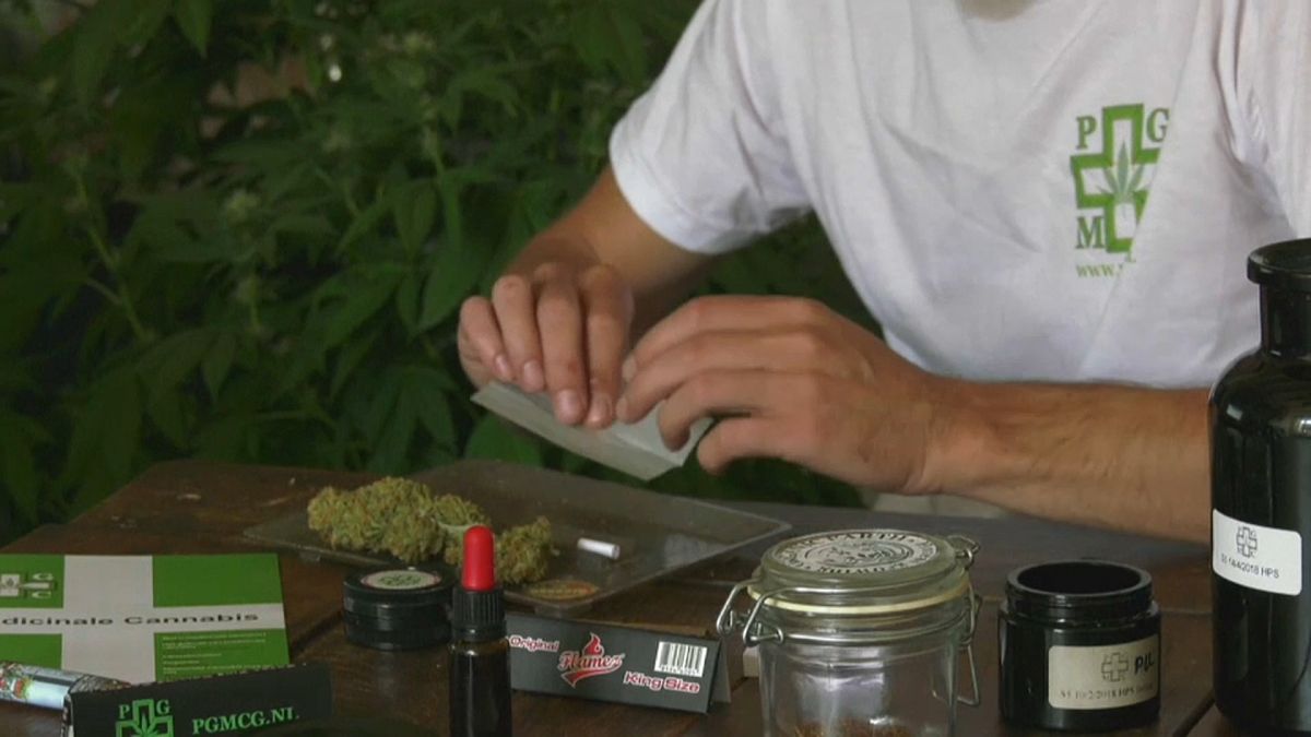 Italien legalisiert Cannabisanbau zu Hause