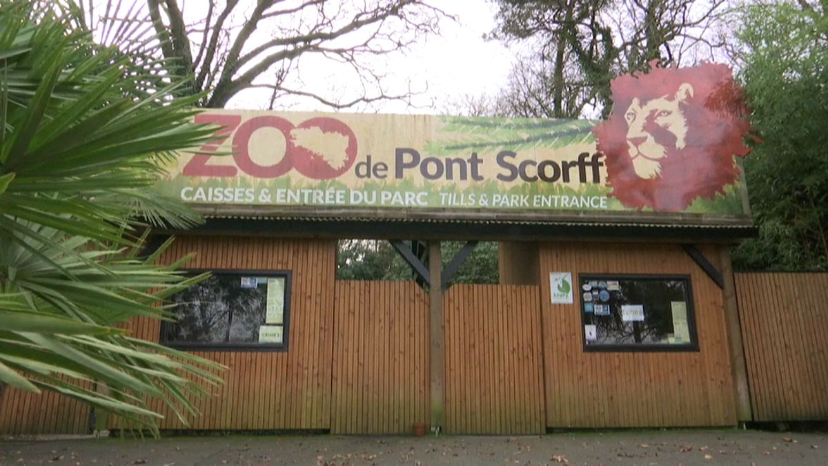 منظمة غير حكومية تشتري حديقة حيوان فرنسية لإطلاق سراحها