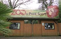 منظمة غير حكومية تشتري حديقة حيوان فرنسية لإطلاق سراحها