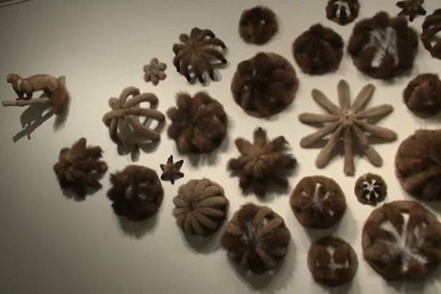 Kaija Kiuru muestra el grito de la naturaleza desde Laponia