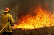 Australia compensará a los bomberos voluntarios