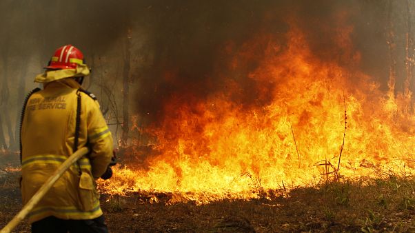 Immer mehr Buschfeuer außer Kontrolle Immer mehr Buschfeuer außer Kontrolle