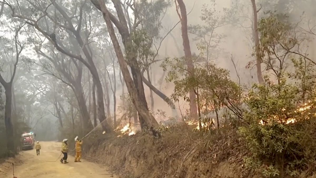 Trotz verschärfter Buschbrände: Sydney besteht auf Silvesterfeuerwerk