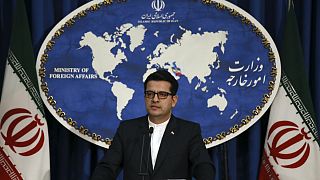 عباس موسوی، سخنگوی وزارت امور خارجه ایران
